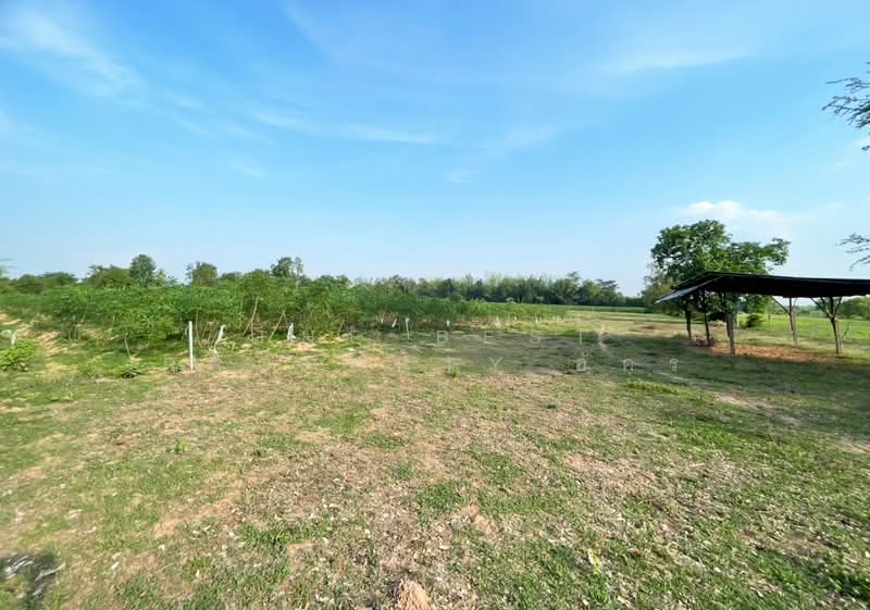 ที่ดินบ้านไผ่ ขอนแก่น, ขอนแก่น, บ้านไผ่, บ้านไผ่, ขอนแก่น, 42,072 ตร.ม., ที่ดิน ขาย, โดย The Best Property อัคร, 500290441 - DDproperty.com