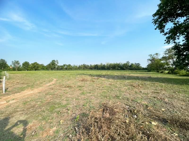 ที่ดินบ้านไผ่ ขอนแก่น, ขอนแก่น, บ้านไผ่, บ้านไผ่, ขอนแก่น, 42,072 ตร.ม., ที่ดิน ขาย, โดย The Best Property อัคร, 500290441 - DDproperty.com