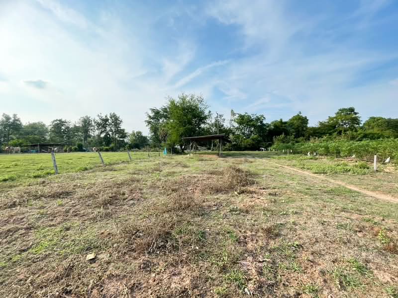 ที่ดินบ้านไผ่ ขอนแก่น, ขอนแก่น, บ้านไผ่, บ้านไผ่, ขอนแก่น, 42,072 ตร.ม., ที่ดิน ขาย, โดย The Best Property อัคร, 500290441 - DDproperty.com