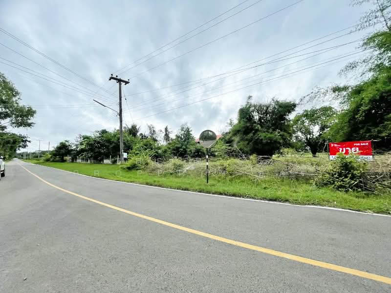 ที่ดินบ้านไผ่ ขอนแก่น, ขอนแก่น, บ้านไผ่, บ้านไผ่, ขอนแก่น, 42,072 ตร.ม., ที่ดิน ขาย, โดย The Best Property อัคร, 500290441 - DDproperty.com