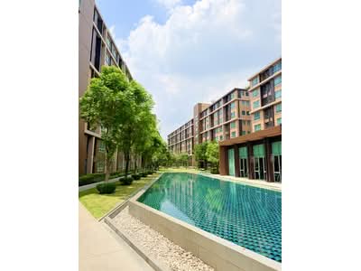 ขาย - Dcondo Campus Rangsit : ดีคอนโด แคมปัส รังสิต, ปทุมธานี