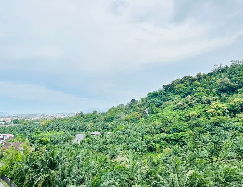 ขาย - The Green Place Condo : พนาสนคอนโดกรีนเพลส, ภูเก็ต