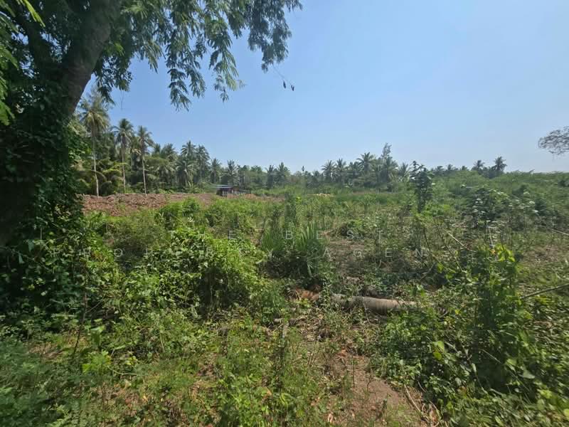 ที่ดินคลองเขิน สมุทรสงคราม, Samut Songkhram, Khlong Khoen, Muang Samut Songkhram, Samut Songkhram, , 1,200 sqm, Land For Sale, by The Best Property Agent อ้อ, 500290553 - DDproperty.com