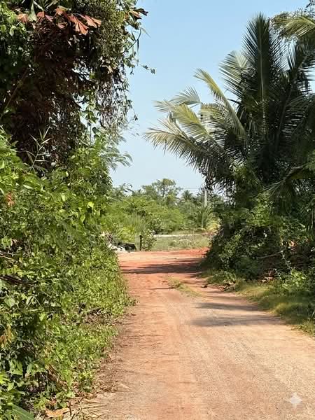 ที่ดินคลองเขิน สมุทรสงคราม, Samut Songkhram, Khlong Khoen, Muang Samut Songkhram, Samut Songkhram, , 1,200 sqm, Land For Sale, by The Best Property Agent อ้อ, 500290553 - DDproperty.com