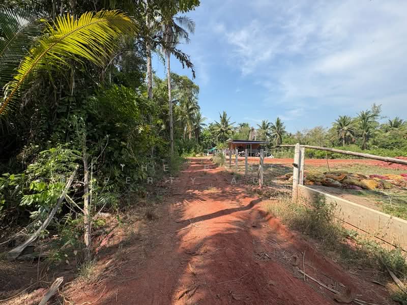 ที่ดินคลองเขิน สมุทรสงคราม, Samut Songkhram, Khlong Khoen, Muang Samut Songkhram, Samut Songkhram, , 1,200 sqm, Land For Sale, by The Best Property Agent อ้อ, 500290553 - DDproperty.com