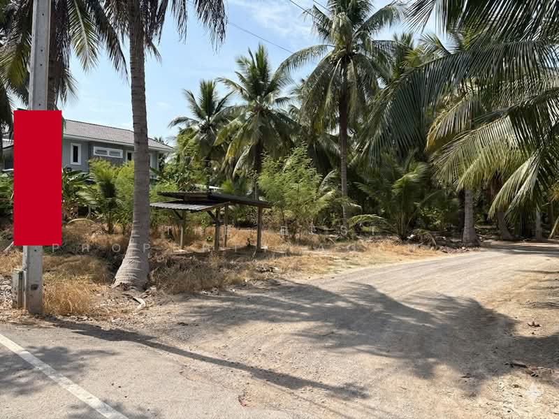 ที่ดินคลองเขิน สมุทรสงคราม, Samut Songkhram, Khlong Khoen, Muang Samut Songkhram, Samut Songkhram, , 1,200 sqm, Land For Sale, by The Best Property Agent อ้อ, 500290553 - DDproperty.com