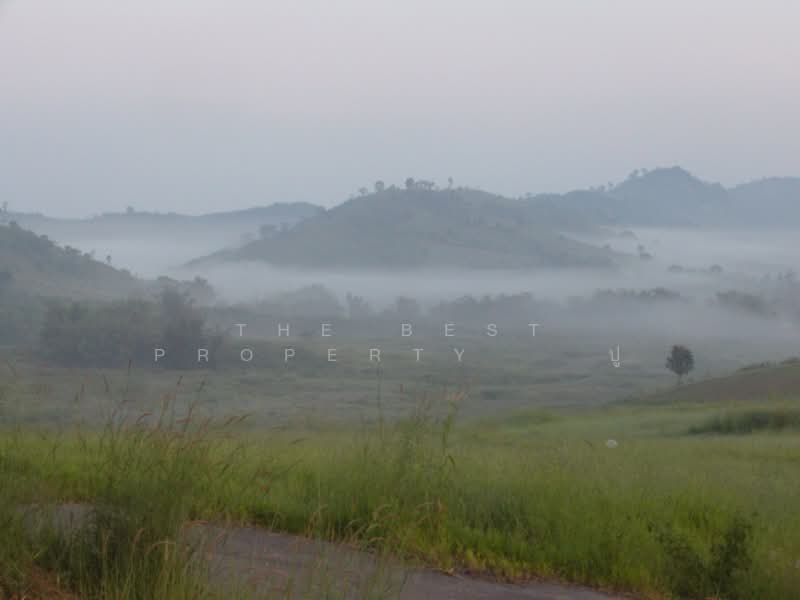 For Sale - ที่ดินเขาค้อ เพชรบูรณ์, Phetchabun