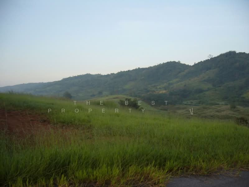 For Sale - ที่ดินเขาค้อ เพชรบูรณ์, Phetchabun