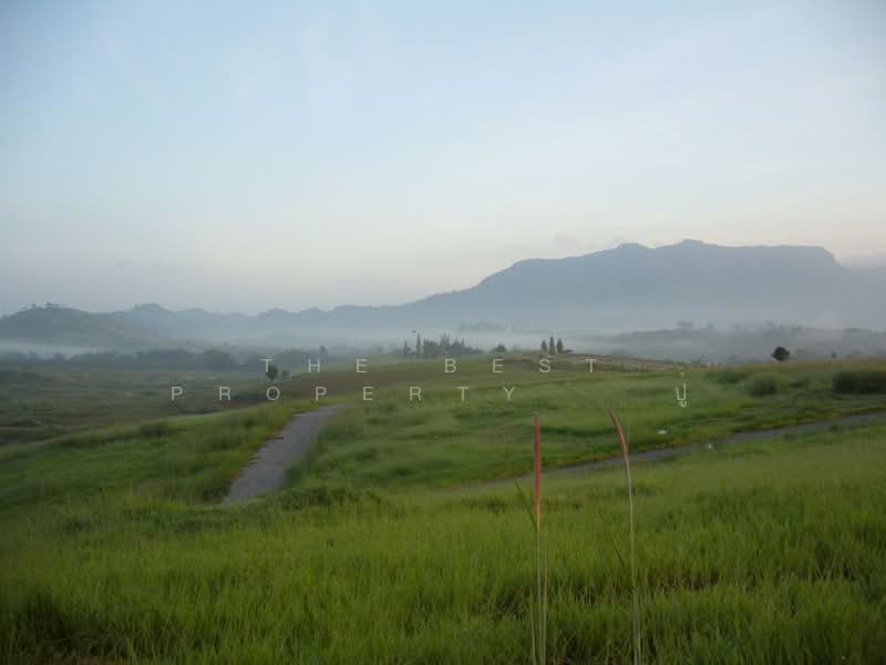 For Sale - ที่ดินเขาค้อ เพชรบูรณ์, Phetchabun
