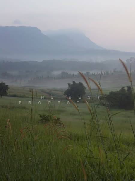 For Sale - ที่ดินเขาค้อ เพชรบูรณ์, Phetchabun