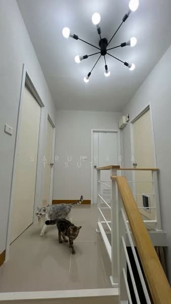 Pruksa Ville 64 Saimai, Bangkok, Sai Mai Road, Sai Mai, Sai Mai, Bangkok, 3 Bedrooms, 88 sqm, Townhouse For Sale, by Sarunyarat Sutthiapiwat, 500290795 - DDproperty.com