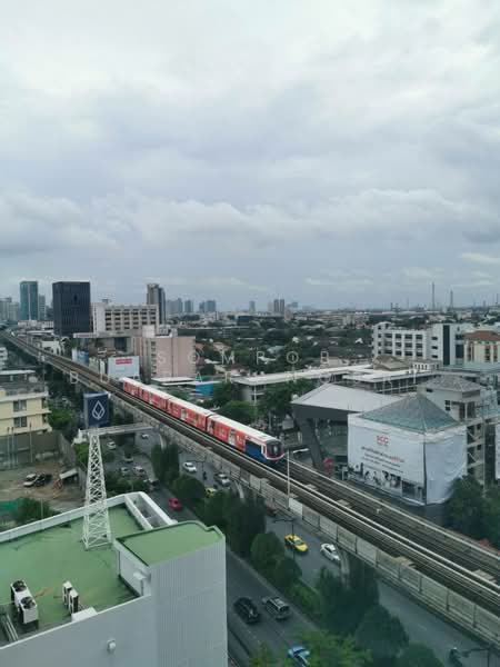 IDEO MOBI Sukhumvit 81, Bangkok, 2097 Sukhumvit Road, Bang Chak, Phra Khanong, Bangkok, 2 Bedrooms, 45 sqm, Condo For Rent, by Sompob Buaparungsri, 500290990 - DDproperty.com