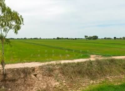 ขาย - ที่ดินเมืองยาง นครราชสีมา, นครราชสีมา