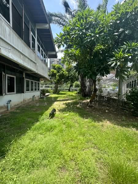 บ้าน 5-ห้องนอน, กรุงเทพ, บางจาก, พระโขนง, กรุงเทพ, 732 ตร.ม., บ้านเดี่ยว ขาย, โดย Preeyapohn Jatuchai, 500291239 - DDproperty.com