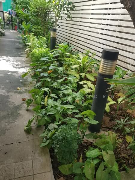 บ้าน 4-ห้องนอน, กรุงเทพ, คลองตัน, คลองเตย, กรุงเทพ, 300 ตร.ม., บ้านเดี่ยว ให้เช่า, โดย Phacharakorn Anusiri, 500291259 - DDproperty.com