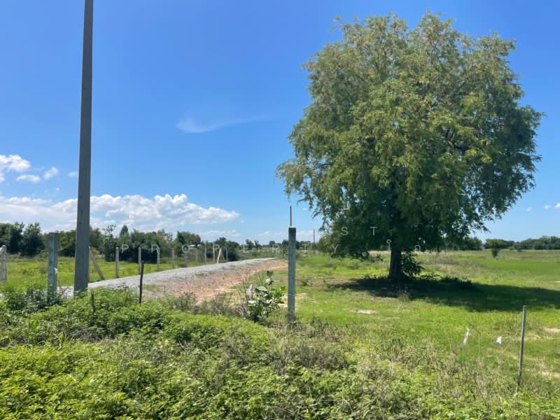 ที่ดินดอนเจดีย์ สุพรรณบุรี, Suphan Buri, Sra Krachom, Don Chedi, Suphan Buri, , 14,856 sqm, Land For Sale, by The Best Property โอ๋, 500291386 - DDproperty.com