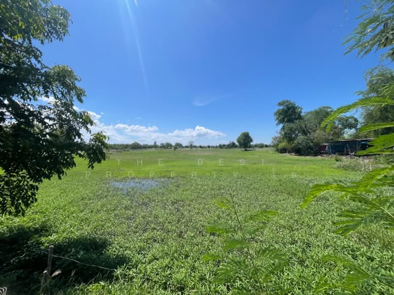 ที่ดินดอนเจดีย์ สุพรรณบุรี, Suphan Buri, Sra Krachom, Don Chedi, Suphan Buri, , 14,856 sqm, Land For Sale, by The Best Property โอ๋, 500291386 - DDproperty.com