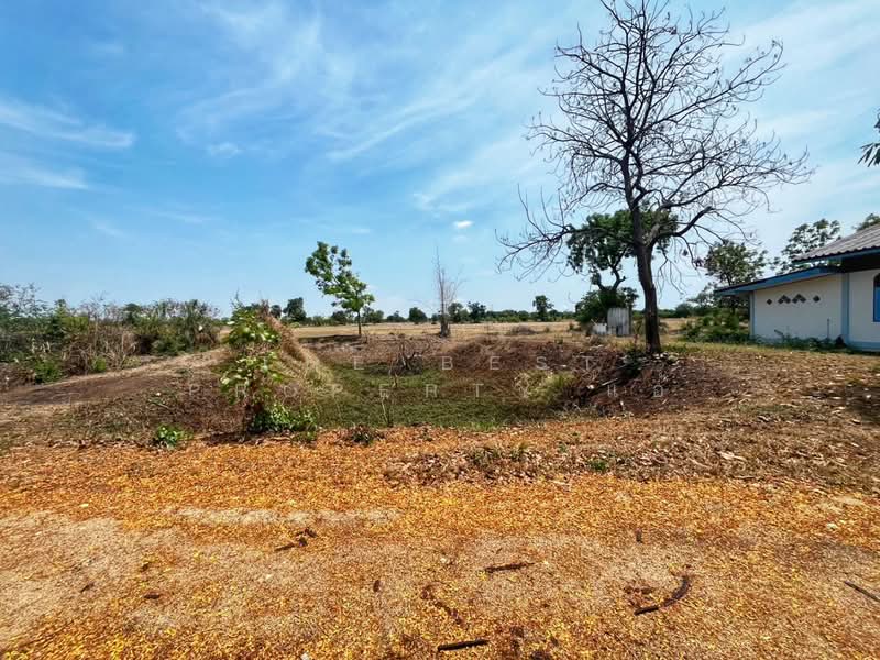 บ้านเดี่ยวพร้อมที่ดินมโนรมย์ ชัยนาท, ชัยนาท, ไร่พัฒนา, มโนรมย์, ชัยนาท, 200 ตร.ม., บ้านเดี่ยว ขาย, โดย The Best Property แอ้, 500291570 - DDproperty.com