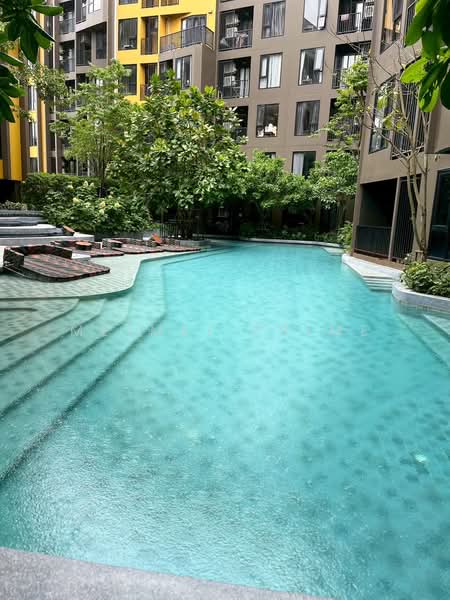 The Base Central, Phuket, Chao Fah Tawan Tok Rd, Wichit, Muang Phuket, Phuket, 1 Bedroom, 35 sqm, Condo For Rent, by MeiMei Prime, 500291595 - DDproperty.com