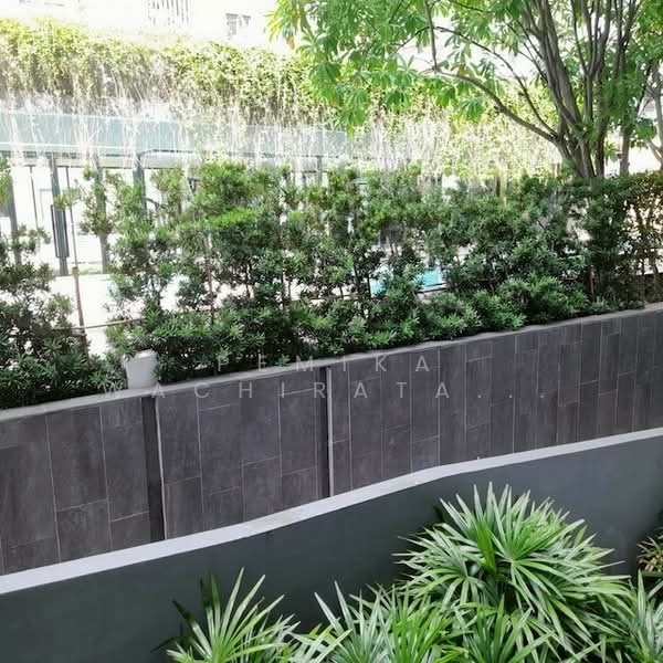 The Nest Sukhumvit 71, Bangkok, 17 Soi Pridi Banomyong 2, Phra Kanong Nua, Watthana, Bangkok, 1 Bedroom, 31 sqm, Condo For Rent, by Pemika Wachiratanakorn, 500291764 - DDproperty.com