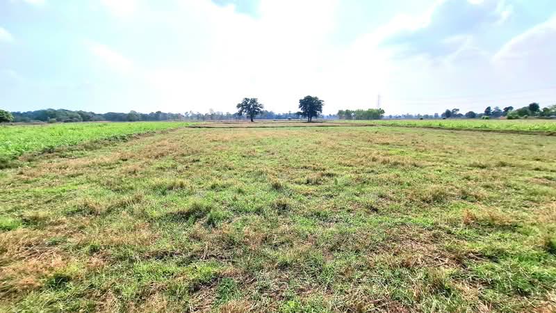 ที่ดินโพนทอง ร้อยเอ็ด, Roi Et, Pho Sri Sawang, Phon Thong, Roi Et, , 7,104 sqm, Land For Sale, by The Best Property ทองใบ, 500292173 - DDproperty.com