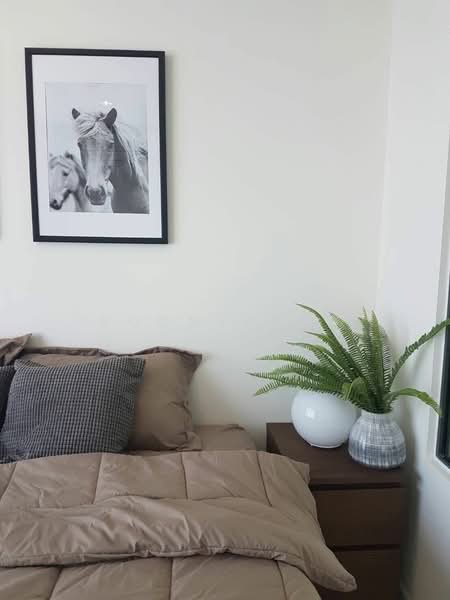 Rhythm Sukhumvit 42, Bangkok, Soi Sukhumvit 42, Sukhumvit Road, Phra Kanong, Khlong Toei, Bangkok, 2 Bedrooms, 78 sqm, Condo For Rent, by Boonraksa Sopak, 500292842 - DDproperty.com