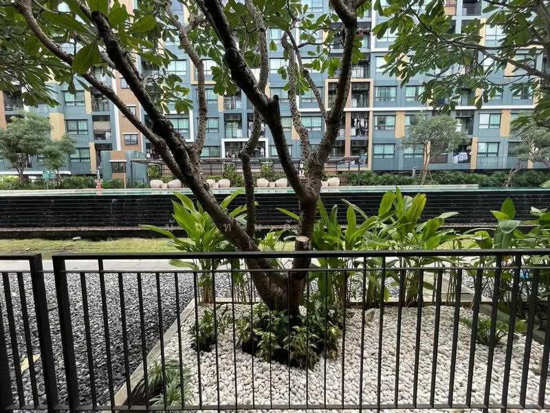 For Rent - iCondo Green Space Sukhumvit 77, Bangkok