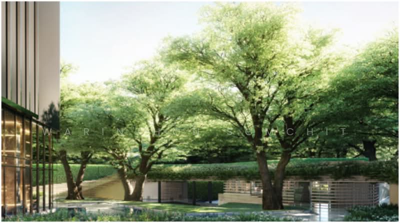 Park Origin Thonglor, Bangkok, Soi Thonglor 10, Sukhumvit Road, Khlong Tan Nua, Watthana, Bangkok, 1 Bedroom, 35 sqm, Condo For Rent, by Warinthon Somchit, 500293225 - DDproperty.com