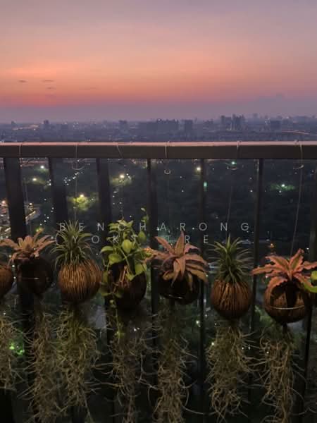 The Line Jatujak-Mochit, Bangkok, Phaholyothin Road, Jom Phon, Chatuchak, Bangkok, 1 Bedroom, 33 sqm, Condo For Rent, by Bencharong (Yok) Treerat-a-na-wat, 500293414 - DDproperty.com