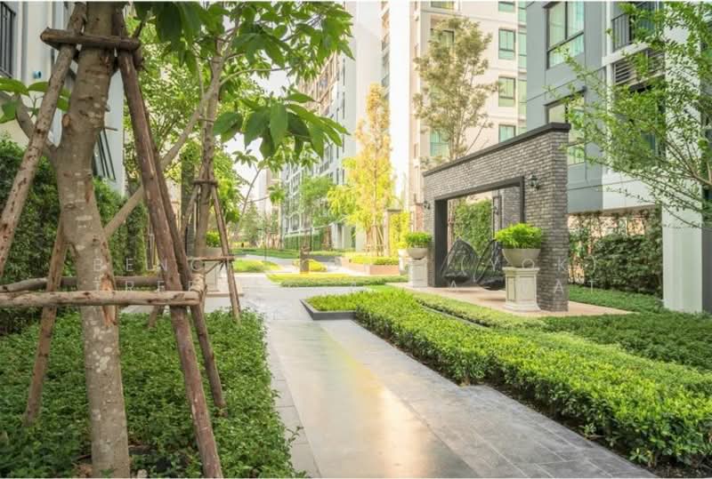 Notting Hill สุขุมวิท 105, กรุงเทพ, 105 Sukhumvit, บางนา, บางนา, กรุงเทพ, 45 ตร.ม., คอนโด ให้เช่า, โดย Bencharong (Yok) Treerat-a-na-wat, 500293468 - DDproperty.com