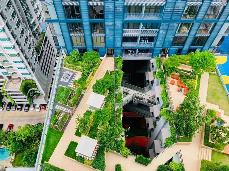 XT Phayathai, Bangkok, Phaya Thai Road, Thanon Phaya Thai, Ratchathewi, Bangkok, 1 Bedroom, 34 sqm, Condo For Rent, by Bencharong (Yok) Treerat-a-na-wat, 500293542 - DDproperty.com
