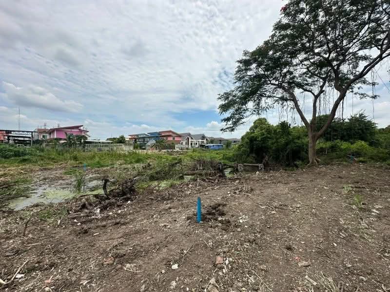 Baan Sinthon Rangsit, Pathum Thani, Bang Phun, Muang Pathum Thani, Pathum Thani, , 400 sqm, Land For Sale, by คุณ อนาคต, 500293840 - DDproperty.com