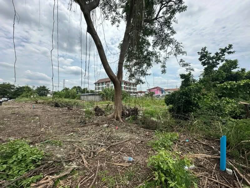 Baan Sinthon Rangsit, Pathum Thani, Bang Phun, Muang Pathum Thani, Pathum Thani, , 400 sqm, Land For Sale, by คุณ อนาคต, 500293840 - DDproperty.com