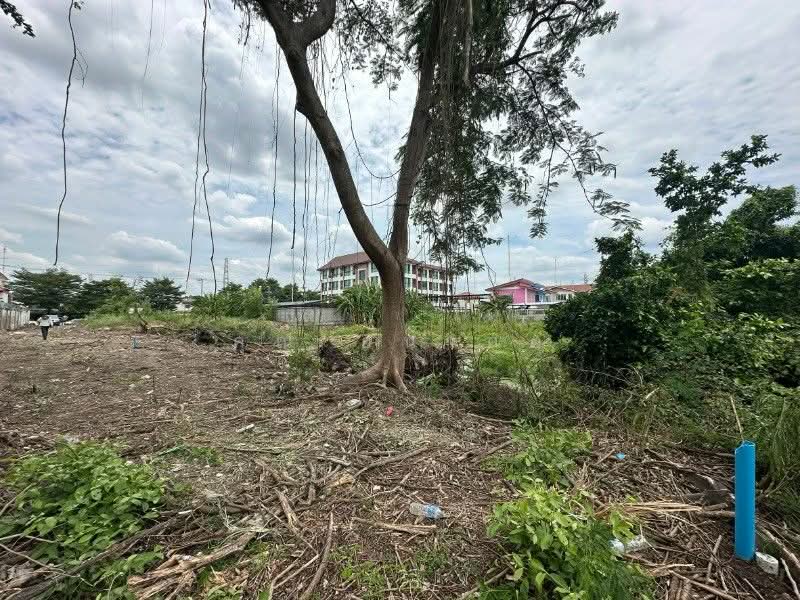 Baan Sinthon Rangsit : บ้านสินธรรังสิต, ปทุมธานี, บางพูน, เมืองปทุมธานี, ปทุมธานี, 400 ตร.ม., ที่ดิน ขาย, โดย คุณ อนาคต, 500293840 - DDproperty.com