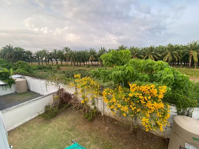 ศุภาลัย เบลล่า, ภูเก็ต, เกาะแก้ว, เมืองภูเก็ต, ภูเก็ต, 200 ตร.ม., บ้านเดี่ยว ให้เช่า, โดย Min Prime, 500293884 - DDproperty.com