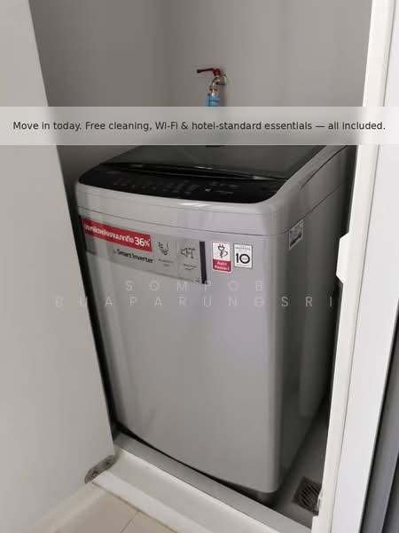 IDEO MOBI Sukhumvit 81 : ไอดีโอ โมบิ สุขุมวิท 81, กรุงเทพ, 2097 ถนนสุขุมวิท แขวงบางจาก เขตพระโขนง กรุงเทพมหานคร, บางจาก, พระโขนง, กรุงเทพ, 45 ตร.ม., คอนโด ให้เช่า, โดย Sompob Buaparungsri, 500293920 - DDproperty.com