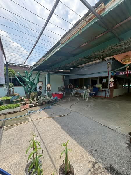 ขาย - ขายที่ดินติดแม่น้ำบางปะกงพร้อมแพขนาดใหญ่ใจกลางเมืองฉะเชิงเทรา, ฉะเชิงเทรา