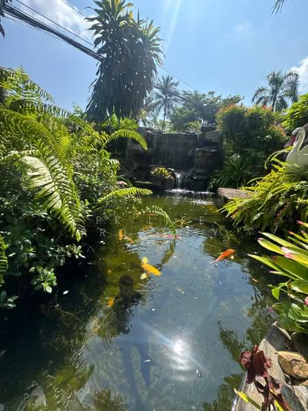 8R0873 Pool villa for rent 5 bedroom 6 bathroom 120,000/month at chalong have fully furnished, ภูเก็ต, ฉลอง, เมืองภูเก็ต, ภูเก็ต, 250 ตร.ม., วิลล่า ให้เช่า, โดย PK LIFE Property, 500294099 - DDproperty.com