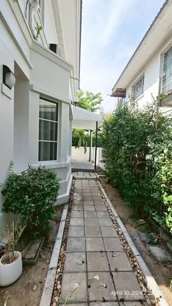 ChaiyaPruk Rangsit-Klong 4 : ชัยพฤกษ์ รังสิต-คลอง 4, ปทุมธานี, ซอย 16, บึงยี่โถ, ธัญบุรี, ปทุมธานี, 150 ตร.ม., บ้านเดี่ยว ให้เช่า, โดย สินรัตน์ ปรีชานุกูล, 500294159 - DDproperty.com