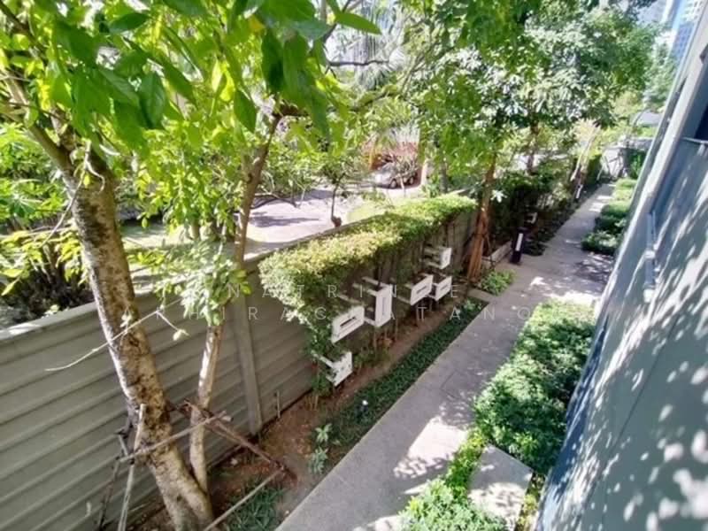 The Seed Musee, Bangkok, 119 Soi Sukhumvit 26, Khong Tan, Khlong Toei, Bangkok, 1 Bedroom, 44 sqm, Condo For Rent, by Natrinee Aphirachatanon, 500294421 - DDproperty.com