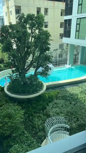 Ivory Ratchada-Ladprao, Bangkok, Soi Ratchadaphisek 32 Ratchadaphisek Road, Chan Kasem, Chatuchak, Bangkok, 1 Bedroom, 35 sqm, Condo For Sale, by Natrinee Aphirachatanon, 500294442 - DDproperty.com