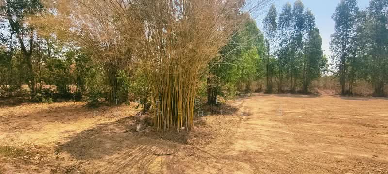 ที่ดินเขาย้อย เพชรบุรี, Phetchaburi, Nong Chumphon, Khao Yoi, Phetchaburi, , 20,800 sqm, Land For Sale, by The Best Property จี้, 500294499 - DDproperty.com