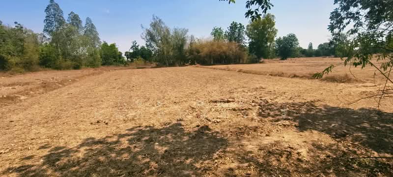ที่ดินเขาย้อย เพชรบุรี, เพชรบุรี, หนองชุมพล, เขาย้อย, เพชรบุรี, 20,800 ตร.ม., ที่ดิน ขาย, โดย The Best Property จี้, 500294499 - DDproperty.com