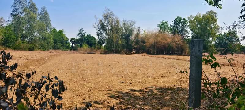 ที่ดินเขาย้อย เพชรบุรี, Phetchaburi, Nong Chumphon, Khao Yoi, Phetchaburi, , 20,800 sqm, Land For Sale, by The Best Property จี้, 500294499 - DDproperty.com