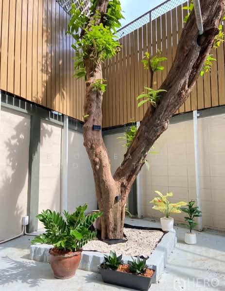 For Rent Home Office 450 sqm in Khlong Tan Nuea, Watthana, Bangkok near BTS Ekkamai HRE00731, Bangkok, Khlong Tan Nua, Watthana, Bangkok, 6 Bedrooms, 450 sqm, Townhouse For Rent, by Hero Realtor Co., Ltd., 500294506 - DDproperty.com
