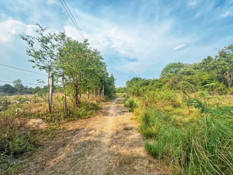 ขาย - ที่ดินน้ำซึม อุทัยธานี, อุทัยธานี