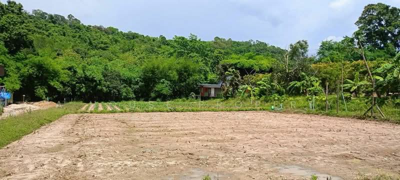 Beautiful land for sale, nestled against the mountains, in the Bowin area, Sriracha., Chon Buri (Pattaya), Bo Win, Si Racha, Chon Buri (Pattaya), , 800 sqm, Land For Sale, by A House Property Co.,Ltd., 500294765 - DDproperty.com
