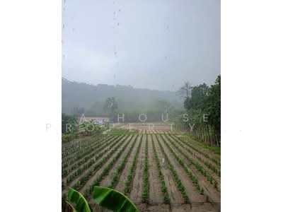 ขาย - ขายที่ดินสวยติดเขา โซนบ่อวิน ศรีราชา, ชลบุรี