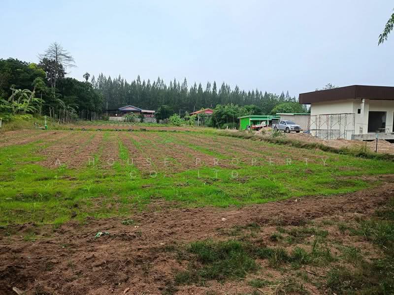 Beautiful land for sale, nestled against the mountains, in the Bowin area, Sriracha., Chon Buri (Pattaya), Bo Win, Si Racha, Chon Buri (Pattaya), , 800 sqm, Land For Sale, by A House Property Co.,Ltd., 500294765 - DDproperty.com