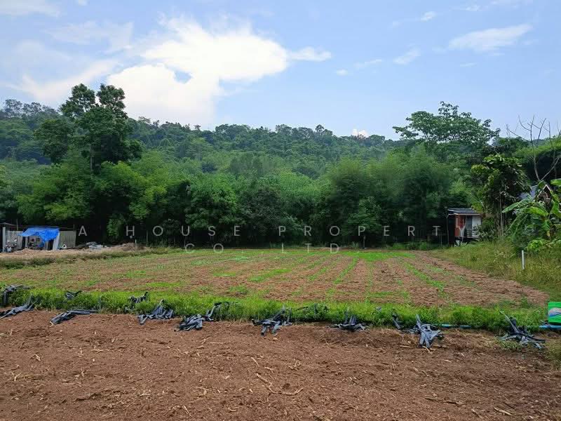 Beautiful land for sale, nestled against the mountains, in the Bowin area, Sriracha., Chon Buri (Pattaya), Bo Win, Si Racha, Chon Buri (Pattaya), , 800 sqm, Land For Sale, by A House Property Co.,Ltd., 500294765 - DDproperty.com